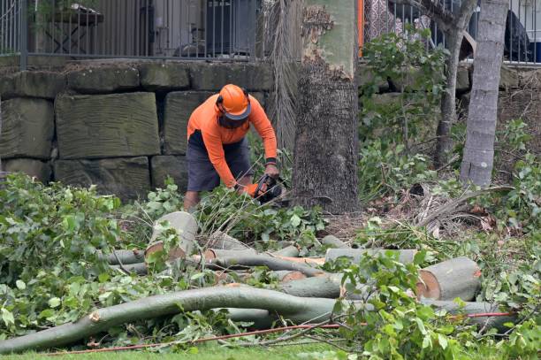 Woodson Terrace, MO Tree Services Company